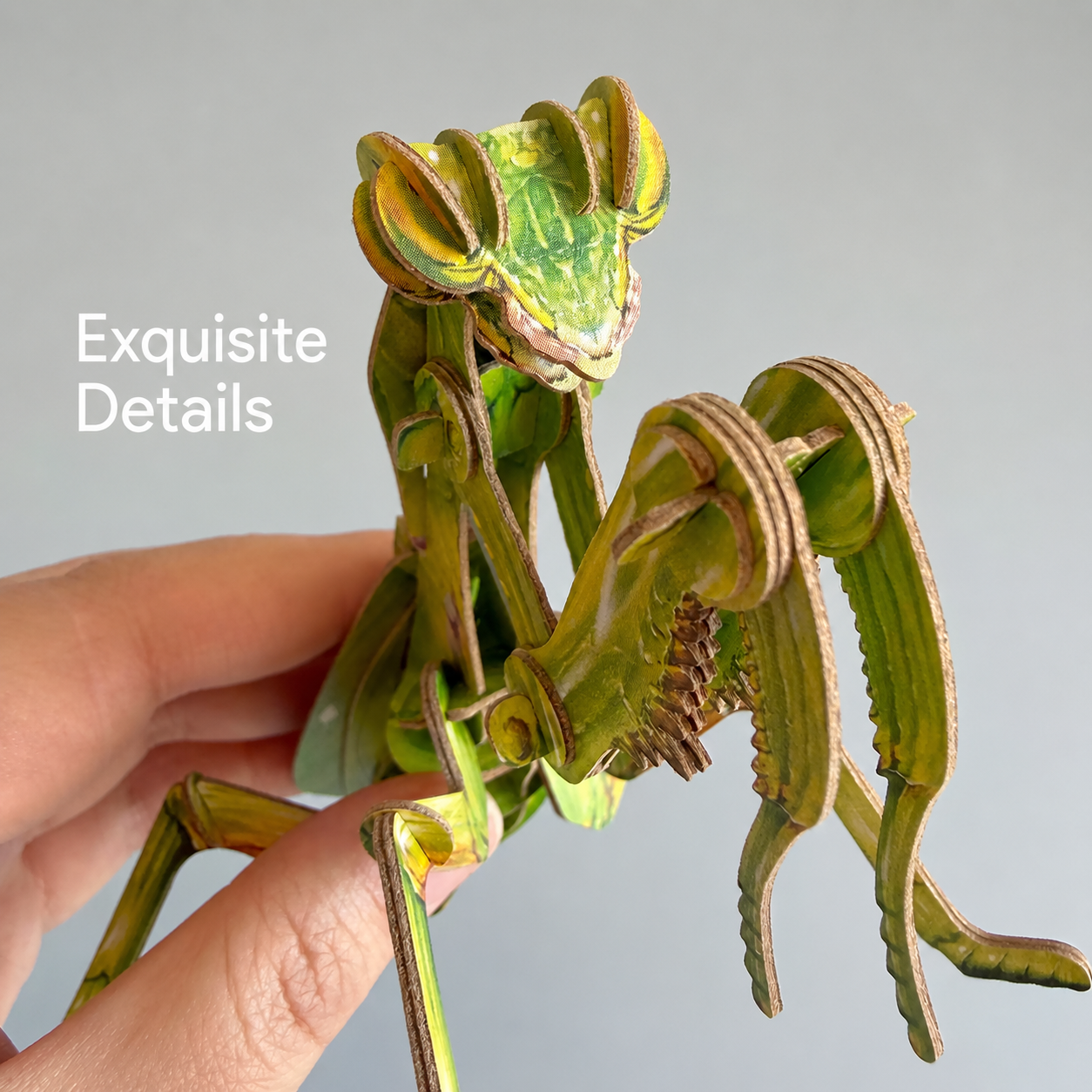 DIY 3D Praying Mantis Wooden Model Kit