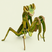 DIY 3D Praying Mantis Wooden Model Kit