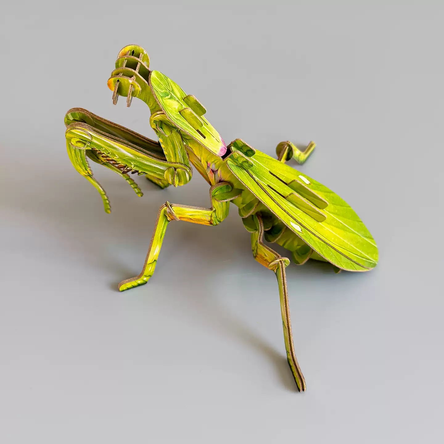 DIY 3D Praying Mantis Wooden Model Kit