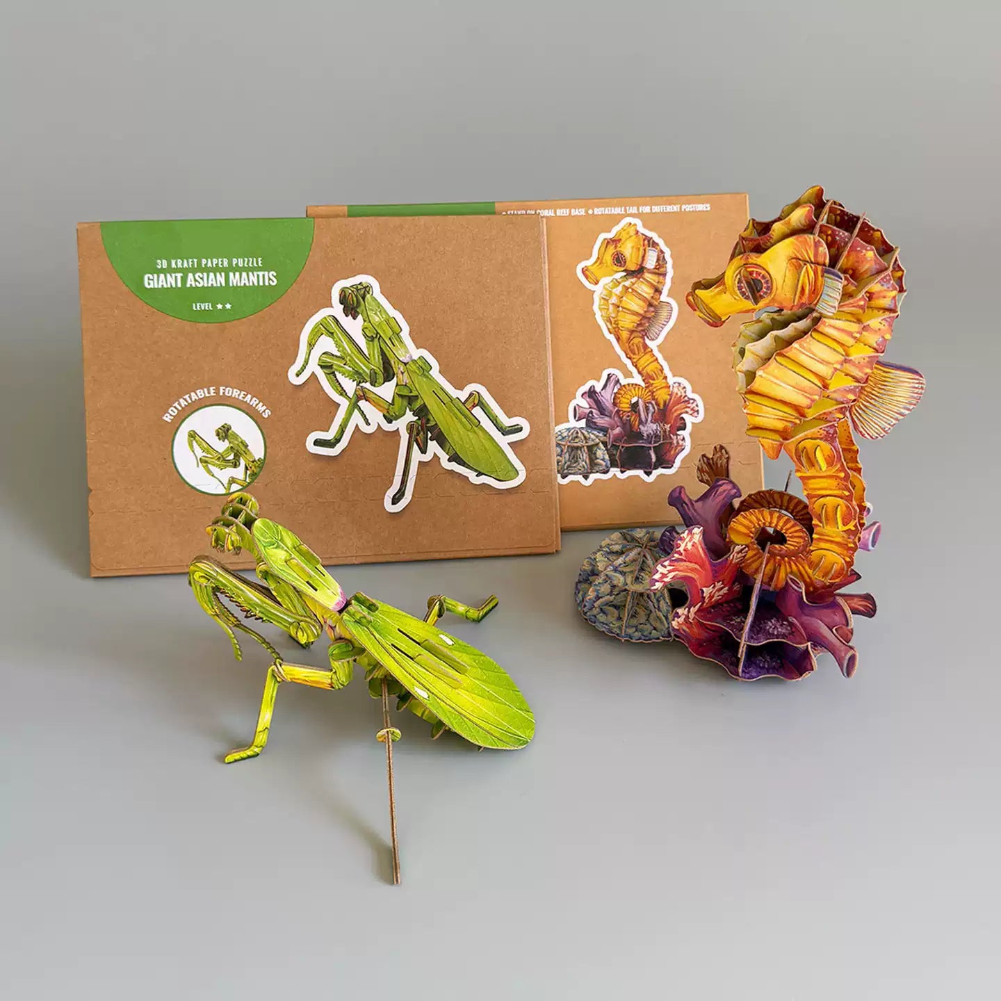 DIY 3D Praying Mantis Wooden Model Kit